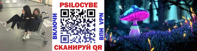 МЕГА вход  Правдинск  Галлюциногенные грибы Psilocybe 