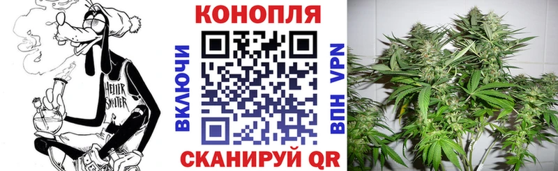Марихуана планчик  Правдинск 